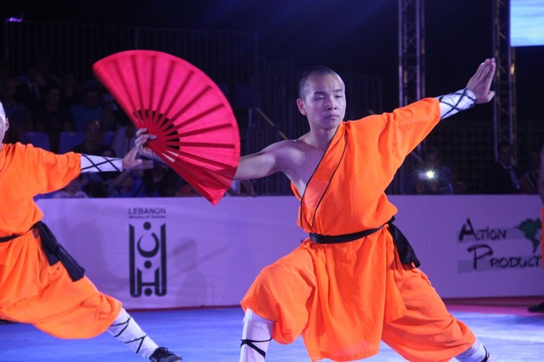 Martial Arts Festival